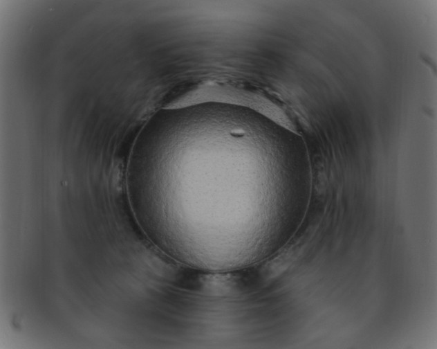 X0000091730273200709071507