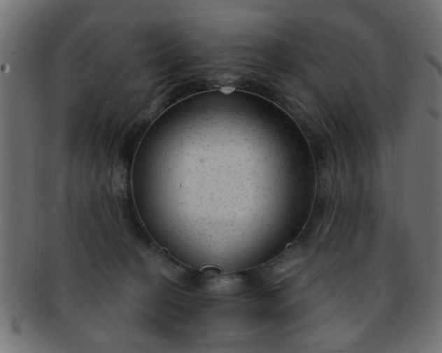 X0000091730274200709071507