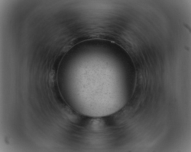 X0000091730275200709071507