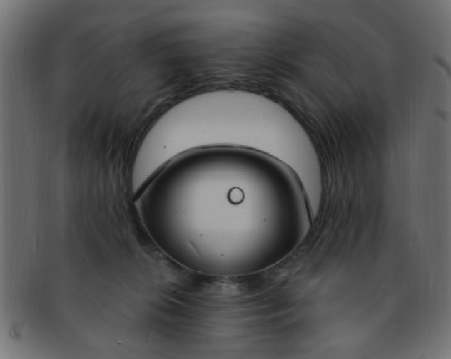 X0000091730276200709071507