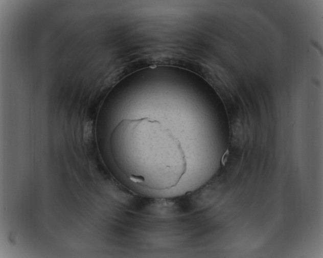 X0000091730278200709071507