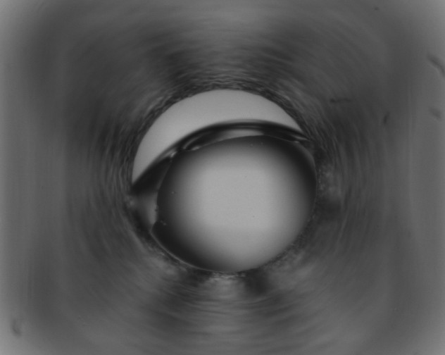 X0000091730280200709071507