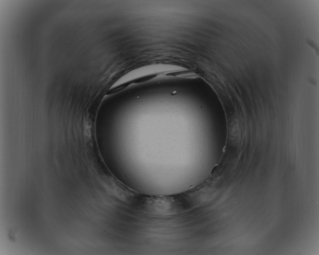 X0000091730282200709071507