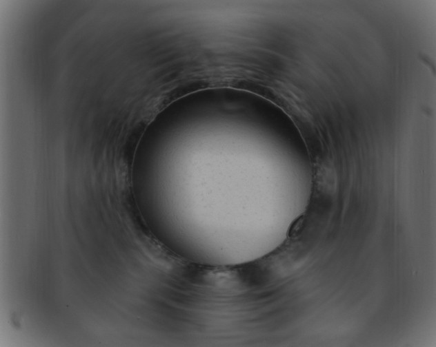 X0000091730283200709071507