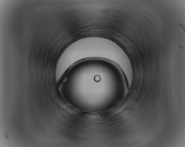 X0000091730284200709071507