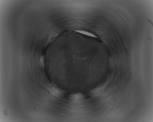 X0000091730286200709071507