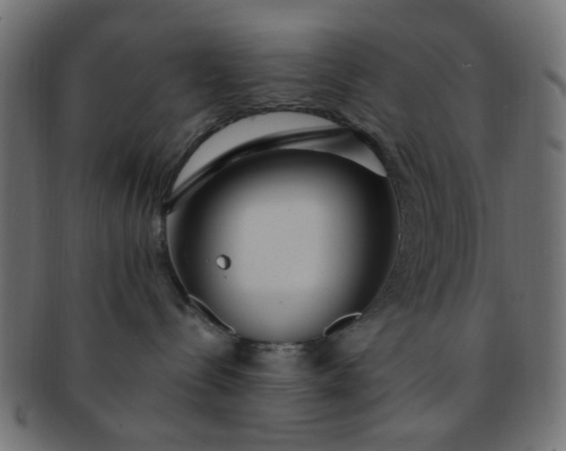 X0000091730288200709071507