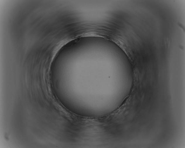 X0000091730289200709071507