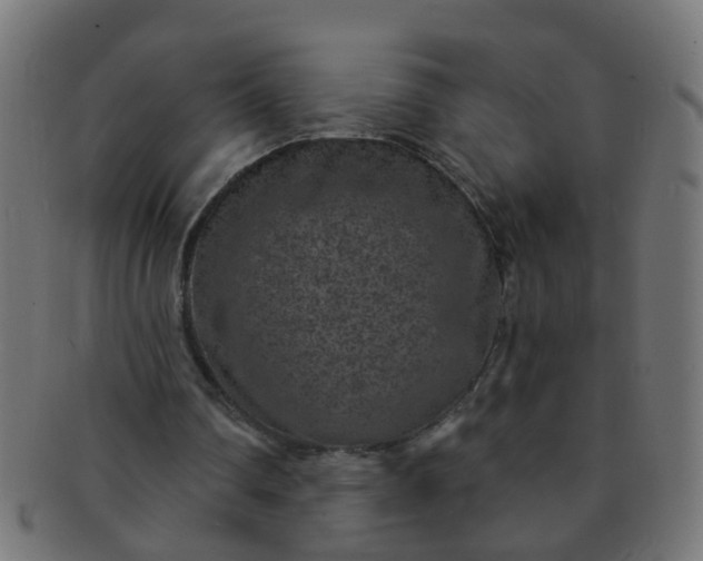 X0000091730290200709071507