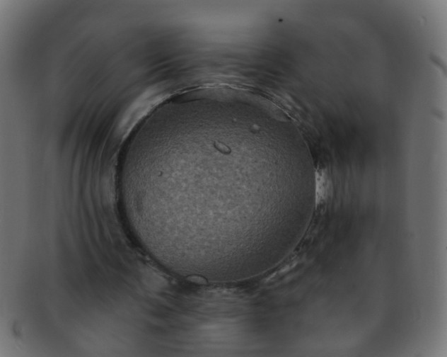 X0000091730291200709071507