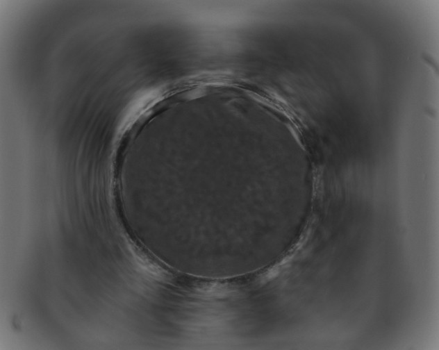 X0000091730293200709071507