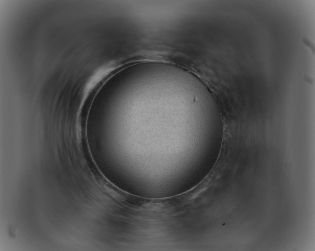 X0000091730294200709071507