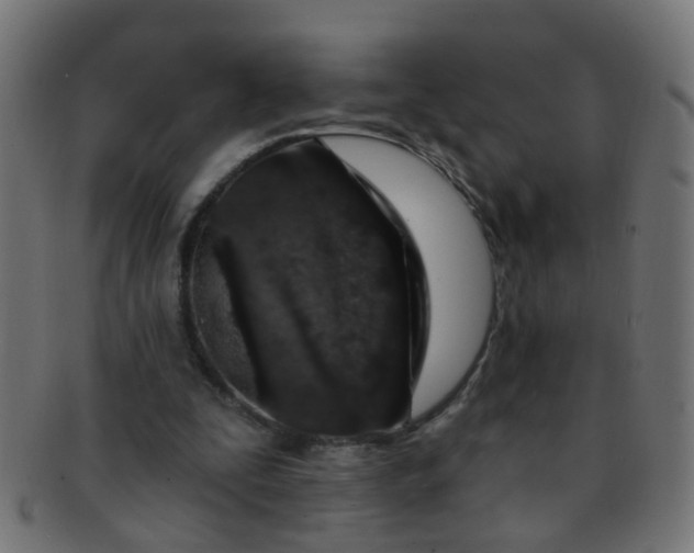 X0000091730295200709071506