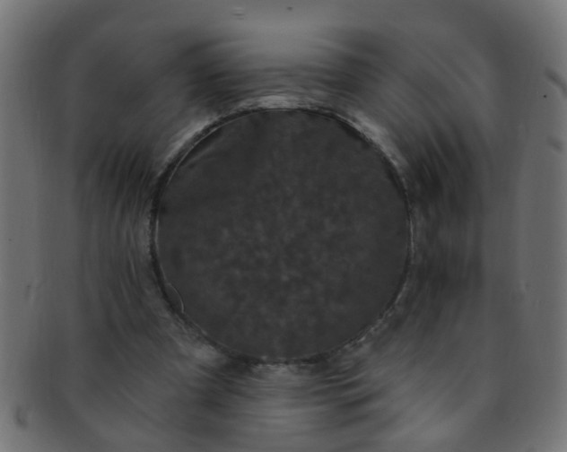 X0000091730297200709071506