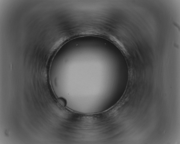 X0000091730298200709071506