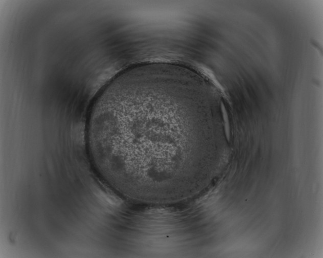 X0000091730299200709071506