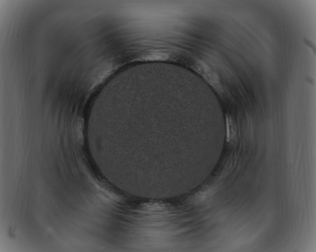 X0000091730300200709071506