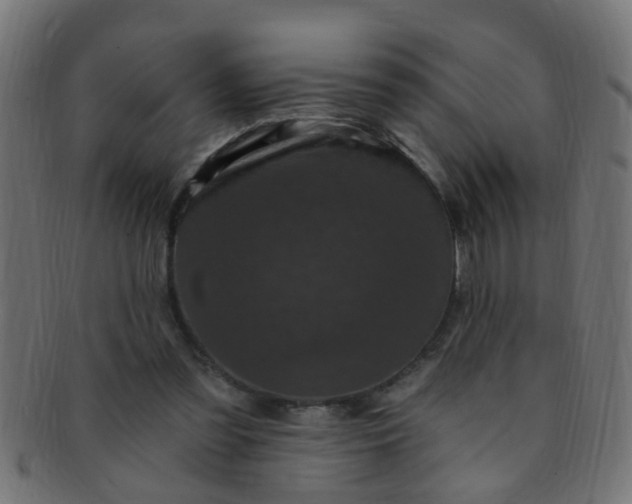 X0000091730301200709071506