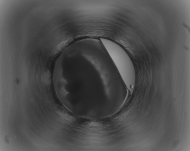 X0000091730303200709071506