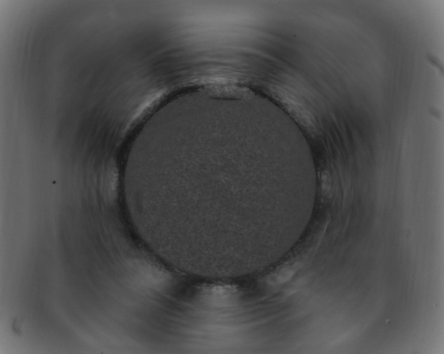 X0000091730304200709071506