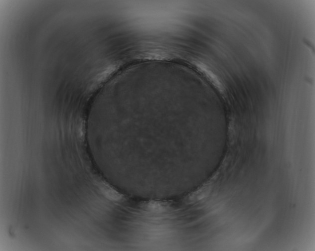 X0000091730305200709071506