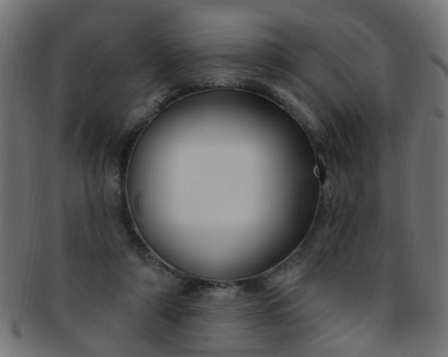 X0000091730306200709071506