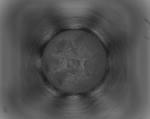 X0000091730307200709071506