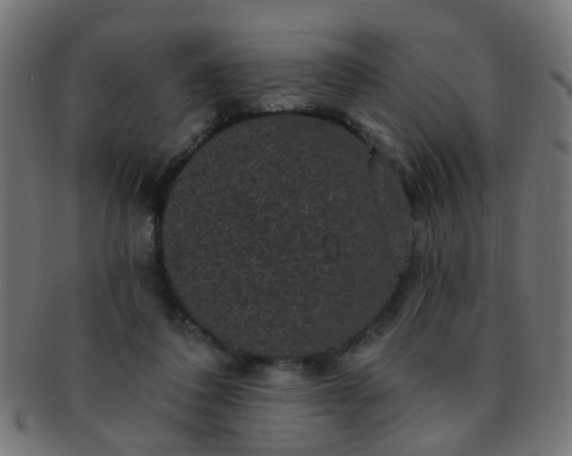 X0000091730308200709071506