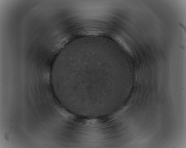 X0000091730309200709071506