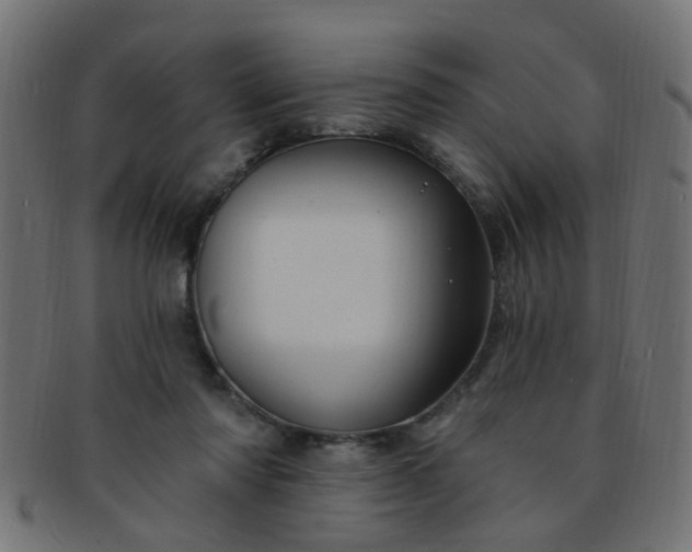 X0000091730310200709071506