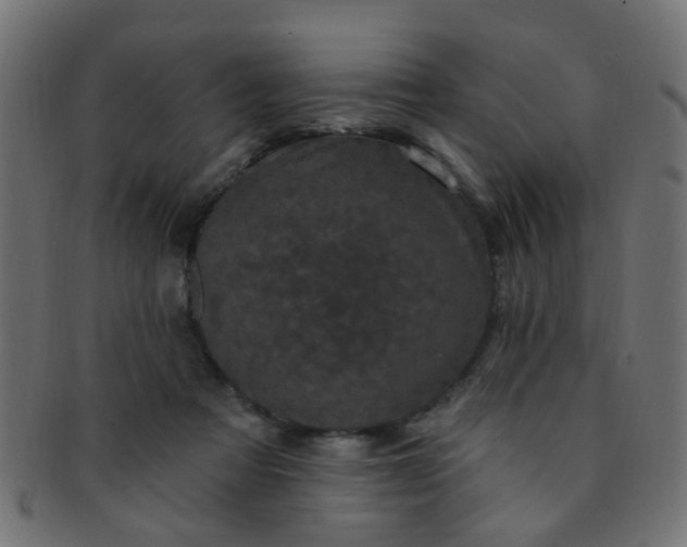 X0000091730313200709071506