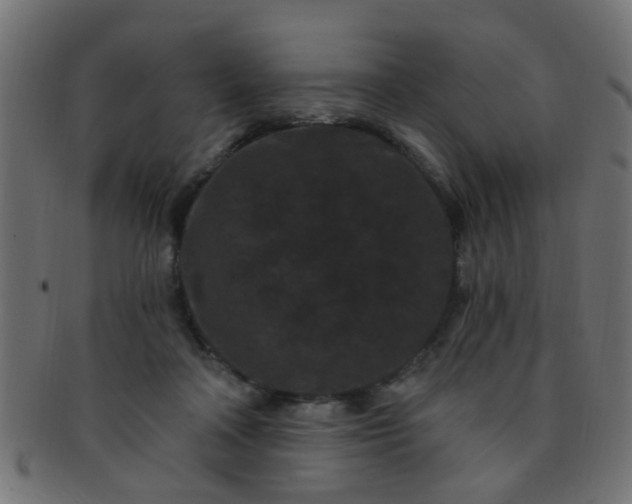 X0000091730314200709071506