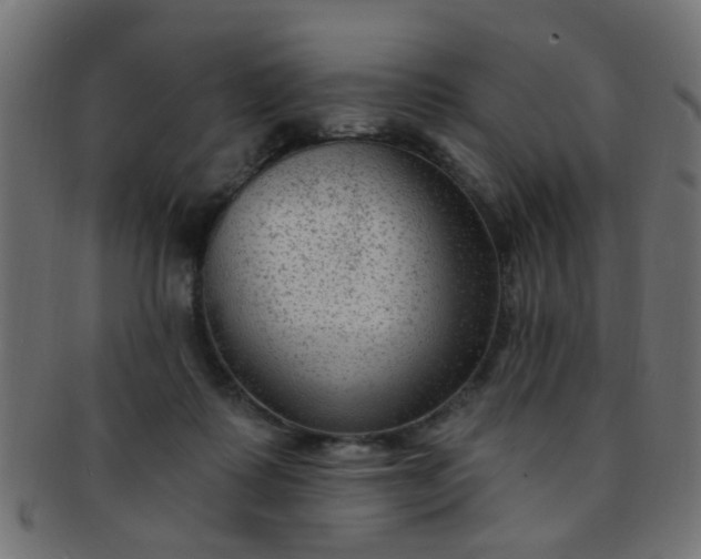 X0000091730315200709071506