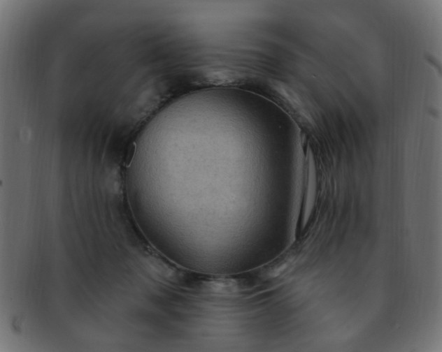 X0000091730317200709071506