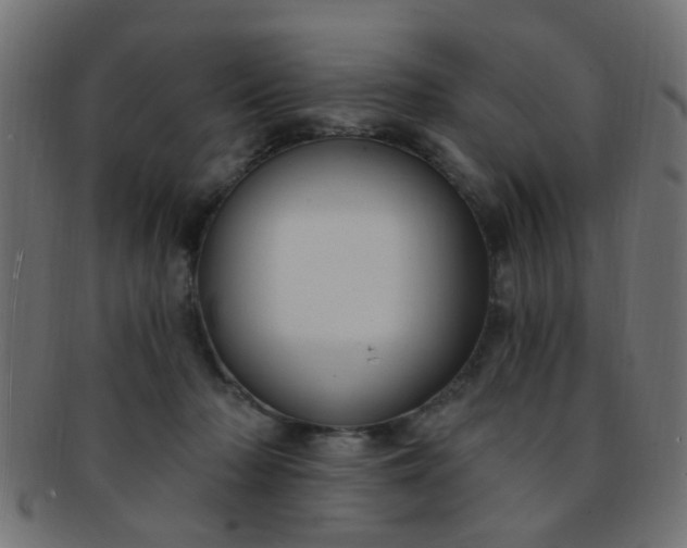 X0000091730318200709071506