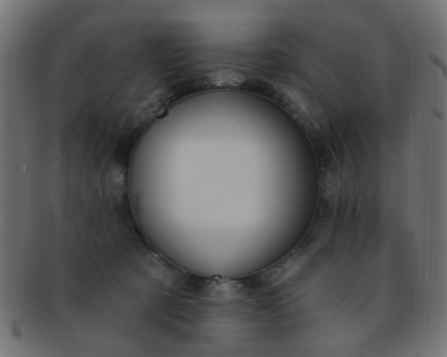 X0000091730321200709071506