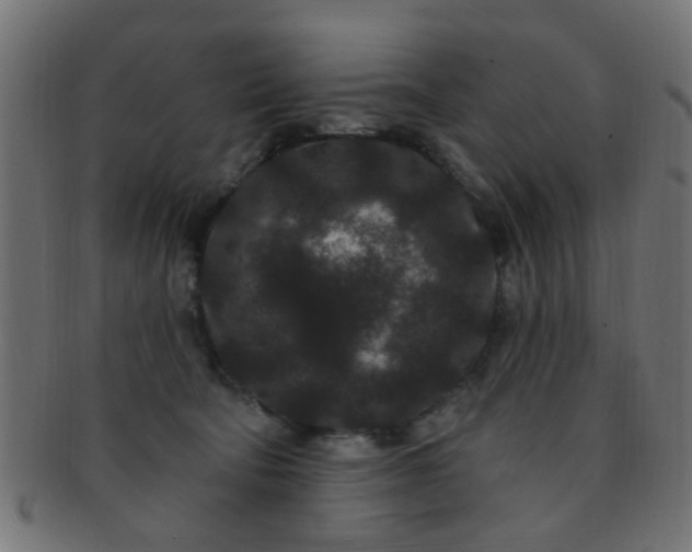 X0000091730322200709071506