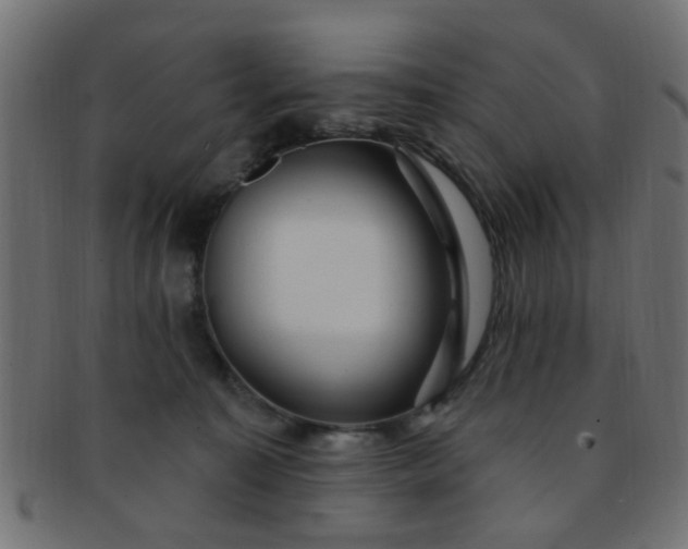 X0000091730323200709071506