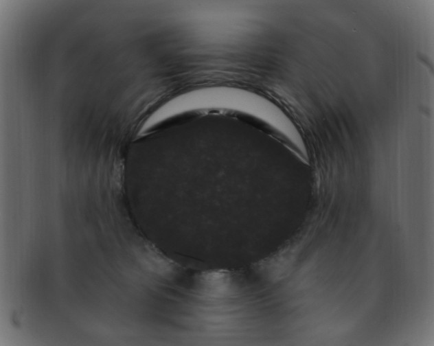 X0000091730325200709071506