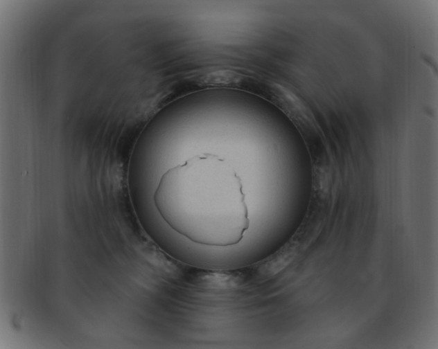 X0000091730326200709071506