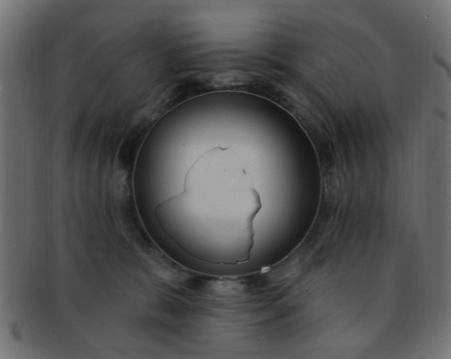 X0000091730327200709071506