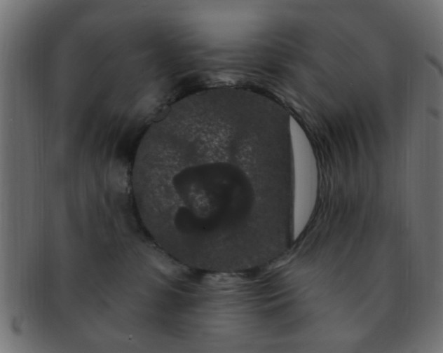 X0000091730331200709071506