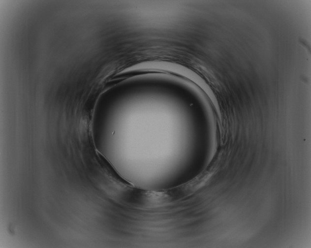 X0000091730333200709071506