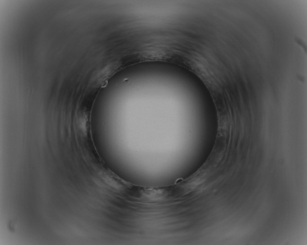 X0000091730334200709071506