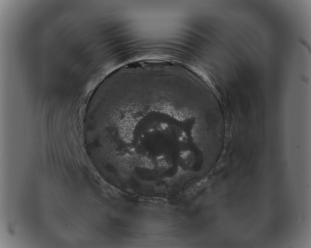 X0000091730337200709071505