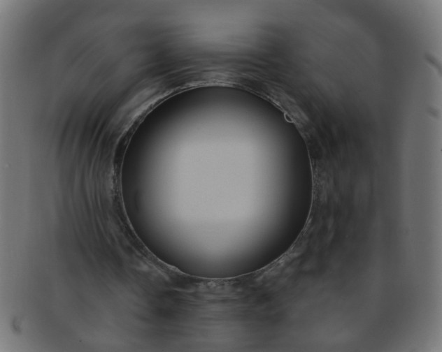 X0000091730338200709071505