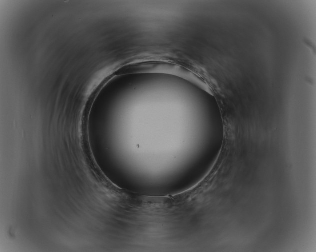 X0000091730340200709071505