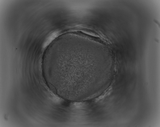 X0000091730341200709071505