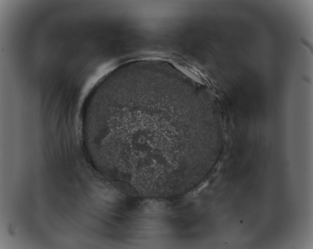 X0000091730343200709071505