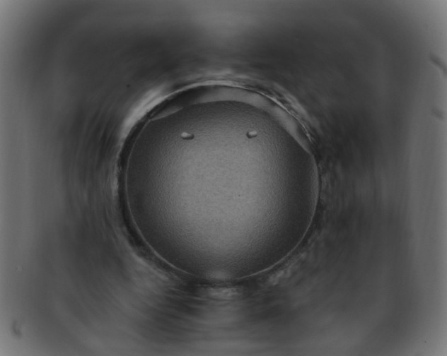 X0000091730344200709071505